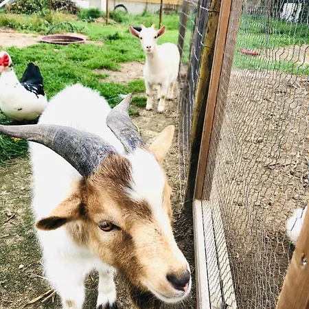 Gæstehus Varzea Nature